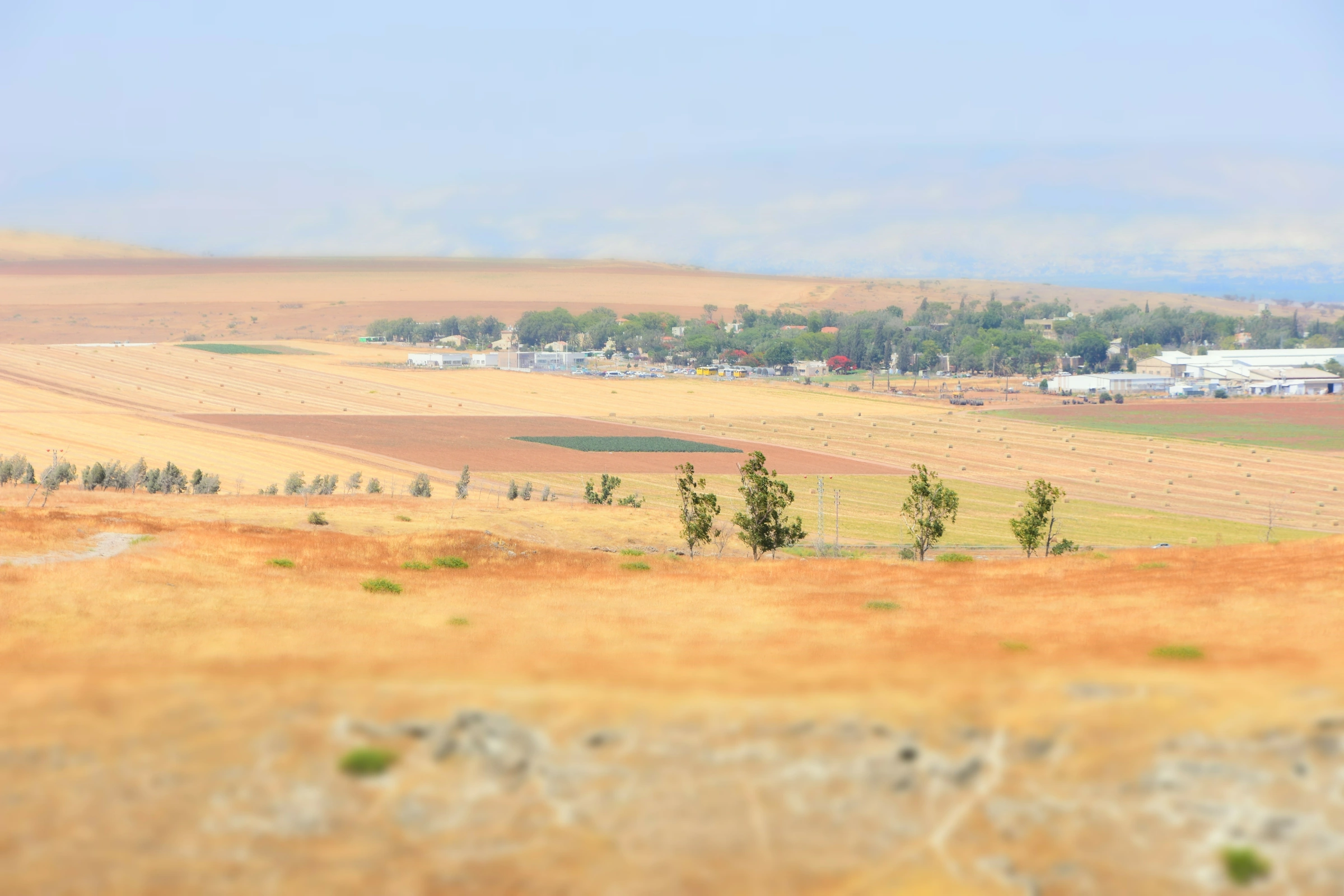 Beit_Shean_Jordan_Meshakef[1].webp